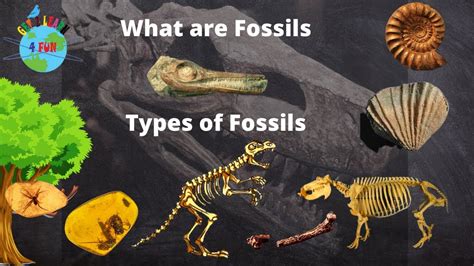 how to spell fossil.